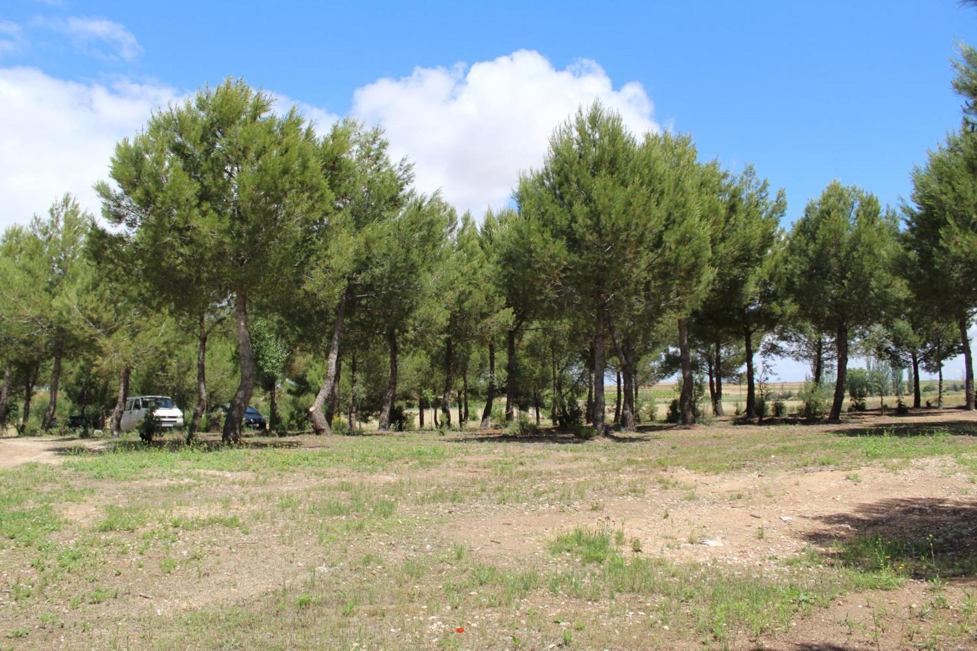 La Casa Del Marques ξενώνας Horcajo de Santiago Εξωτερικό φωτογραφία