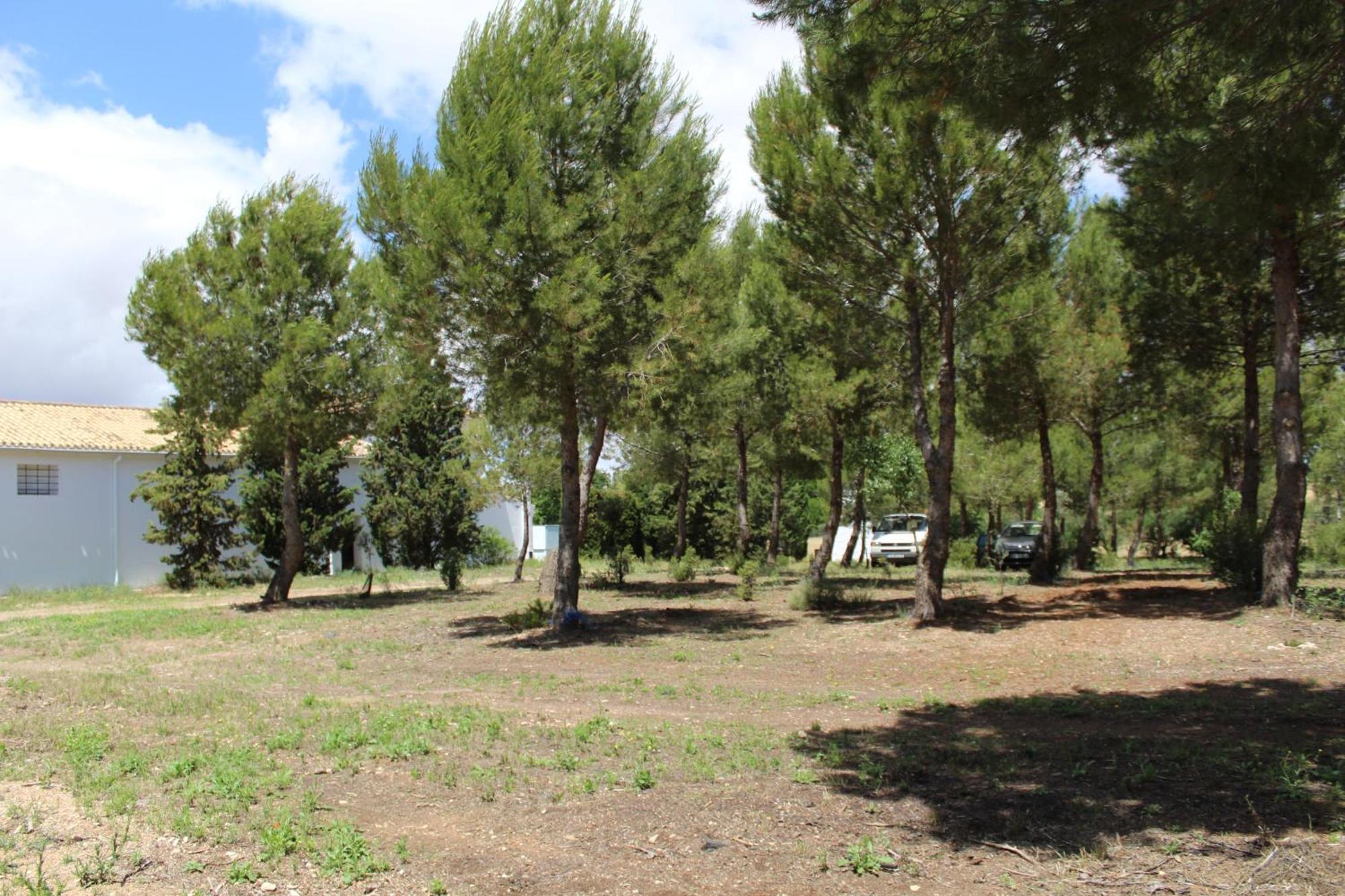 La Casa Del Marques ξενώνας Horcajo de Santiago Εξωτερικό φωτογραφία